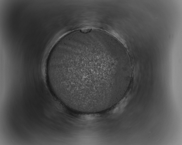 X0000093170103200710101220