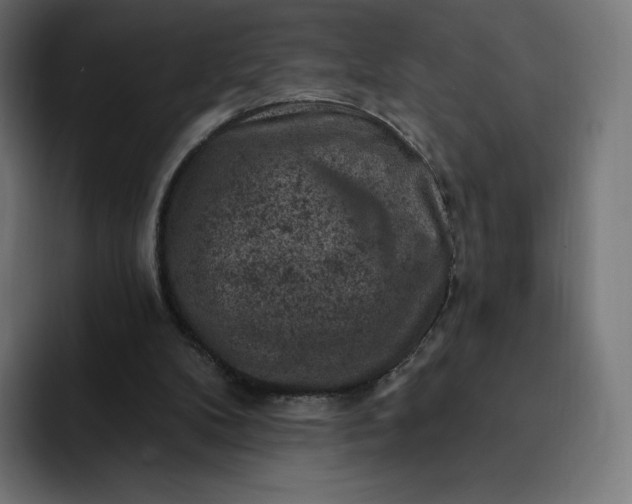 X0000093170104200710101220