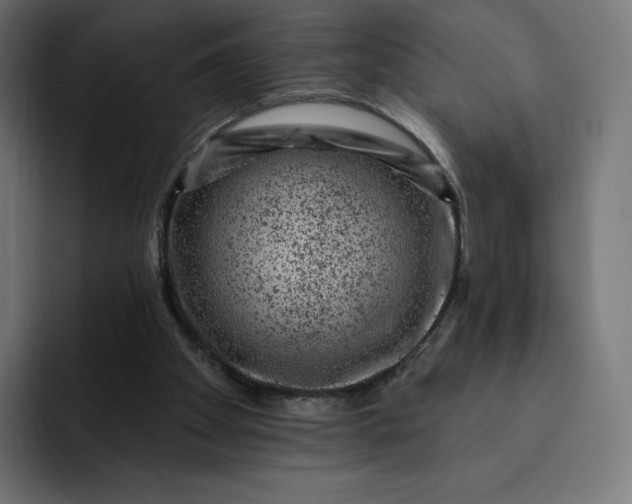 X0000093170105200710101220