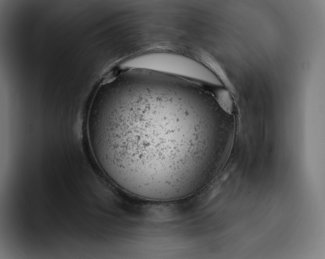 X0000093170106200710101220