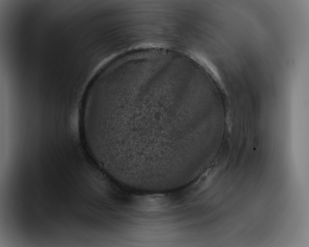 X0000093170108200710101220