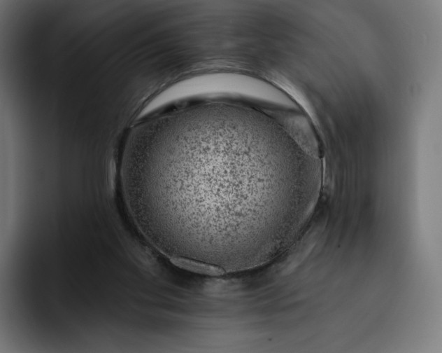 X0000093170109200710101220