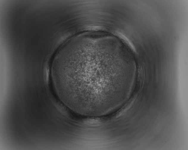 X0000093170110200710101220