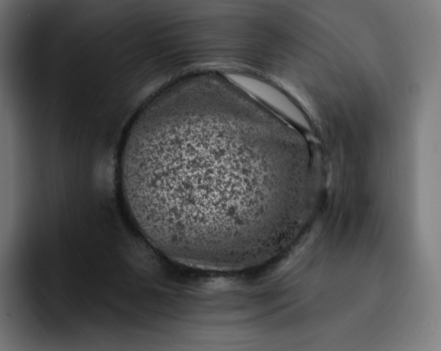 X0000093170111200710101220