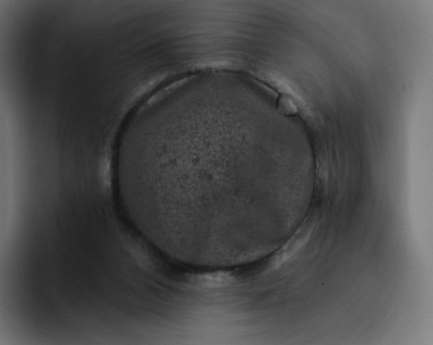 X0000093170112200710101220