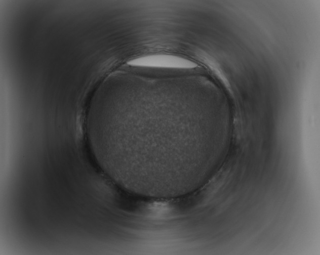 X0000093170114200710101220