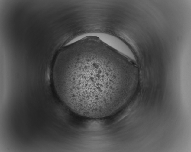 X0000093170115200710101220