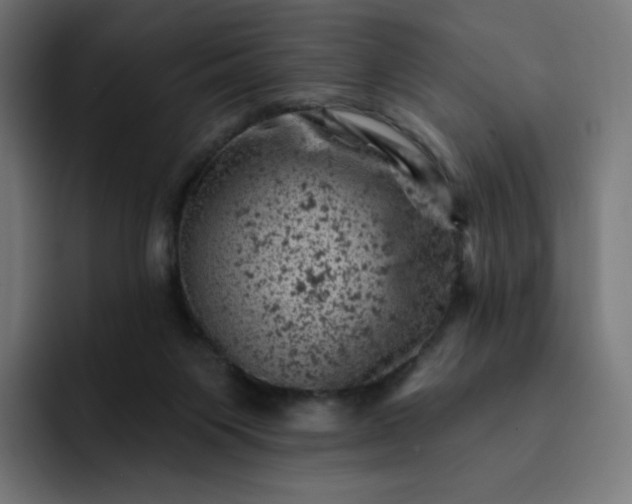 X0000093170119200710101220