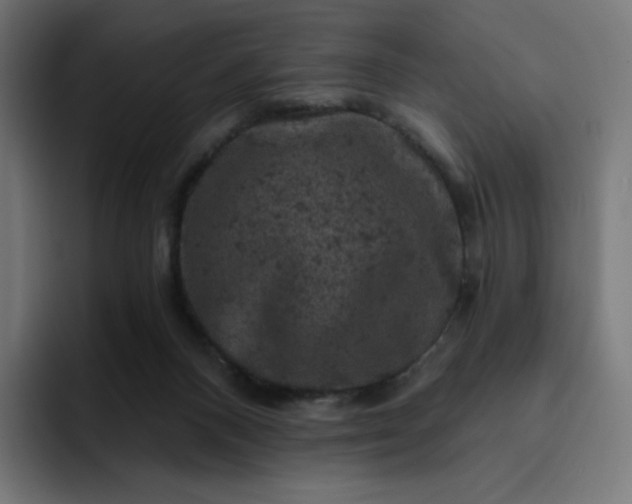 X0000093170120200710101220