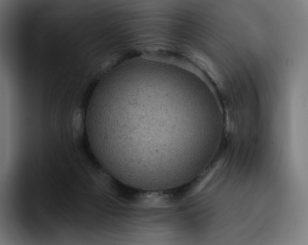 X0000093170121200710101220