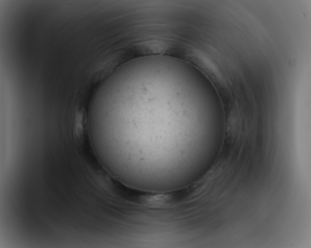 X0000093170122200710101220