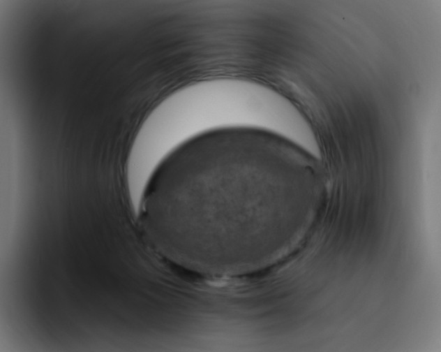 X0000093170125200710101219