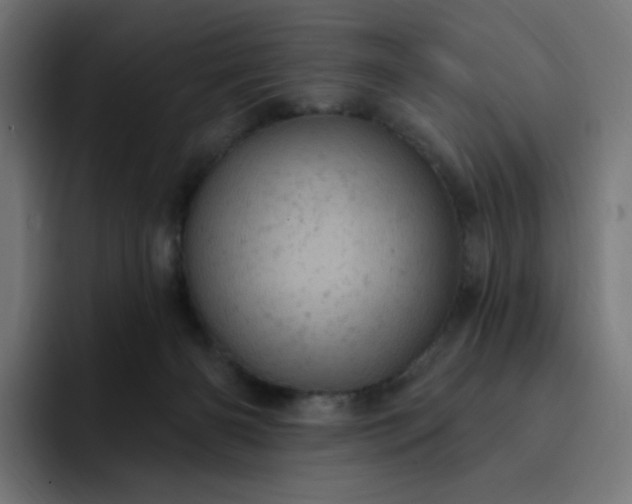 X0000093170126200710101219