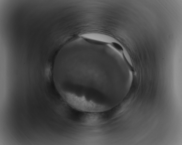 X0000093170127200710101219
