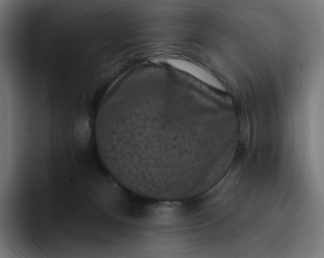 X0000093170128200710101219