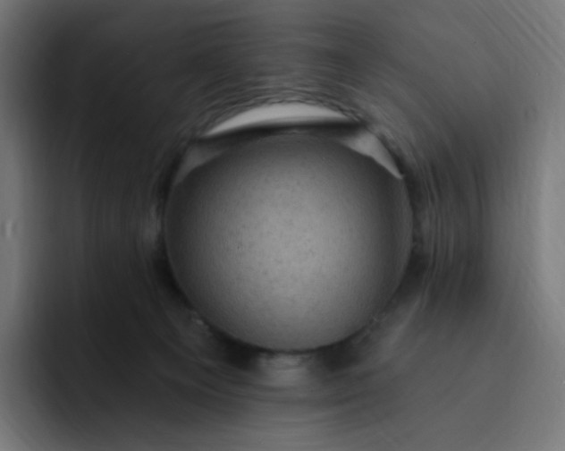 X0000093170129200710101219