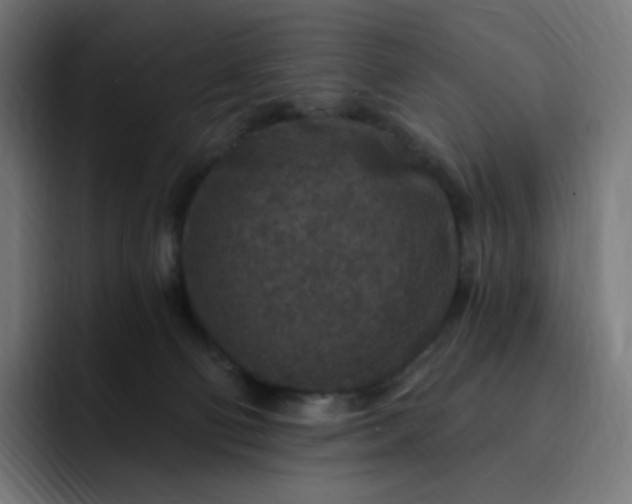 X0000093170130200710101219