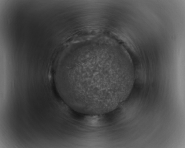 X0000093170131200710101219
