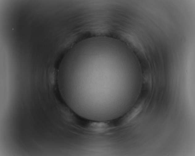 X0000093170133200710101219
