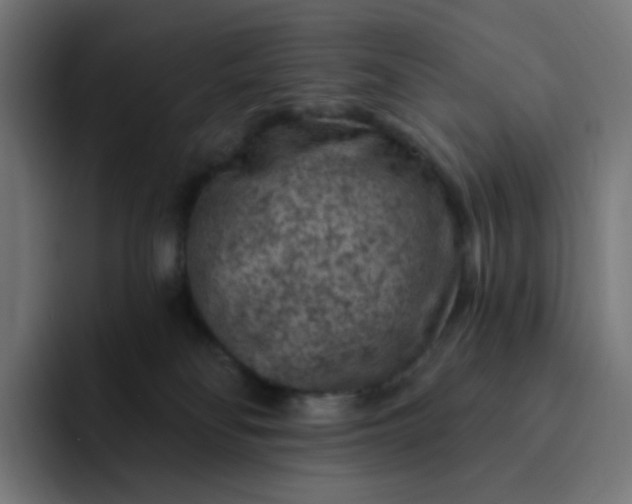 X0000093170134200710101219