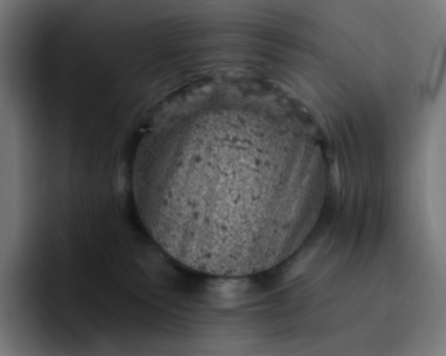 X0000093170135200710101219