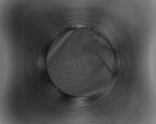 X0000093170136200710101219