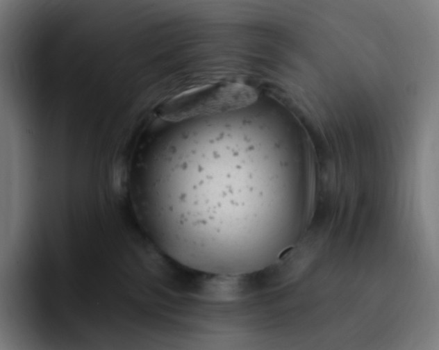 X0000093170138200710101219