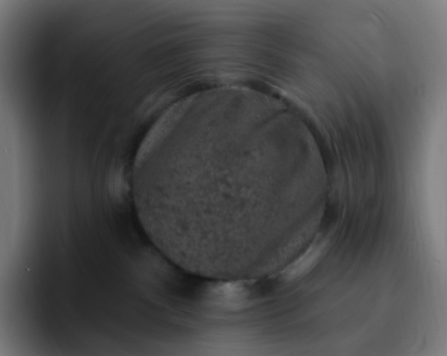X0000093170140200710101219