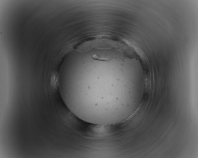 X0000093170142200710101219