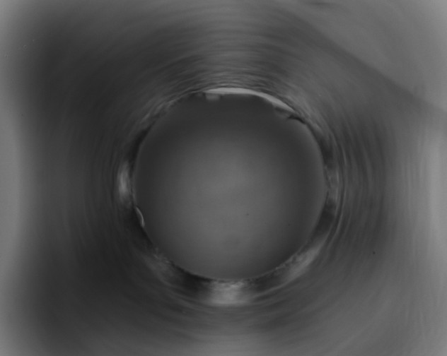 X0000093170143200710101219