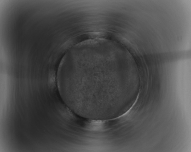 X0000093170144200710101219