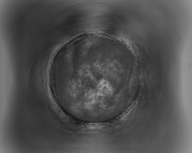 X0000093170145200710101219