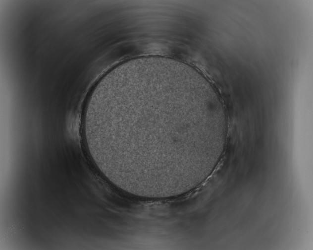 X0000093170146200710101219