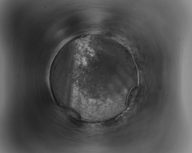 X0000093170147200710101219