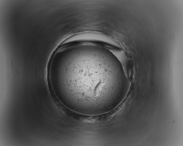 X0000093170148200710101219