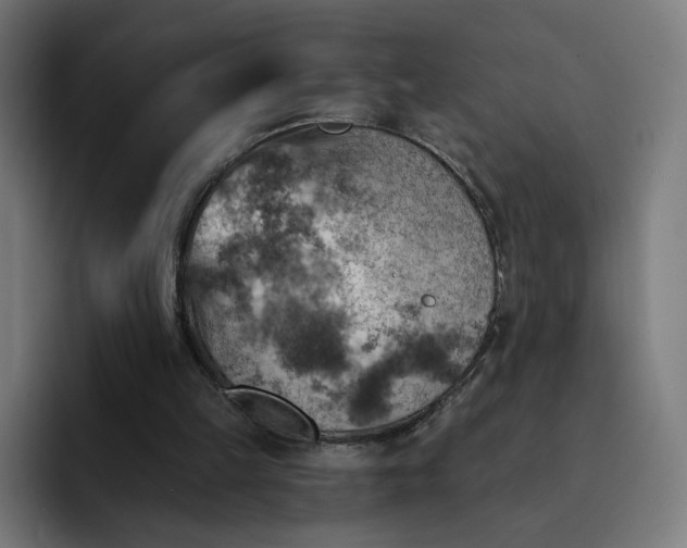 X0000093170149200710101219