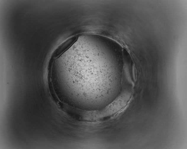 X0000093170150200710101219