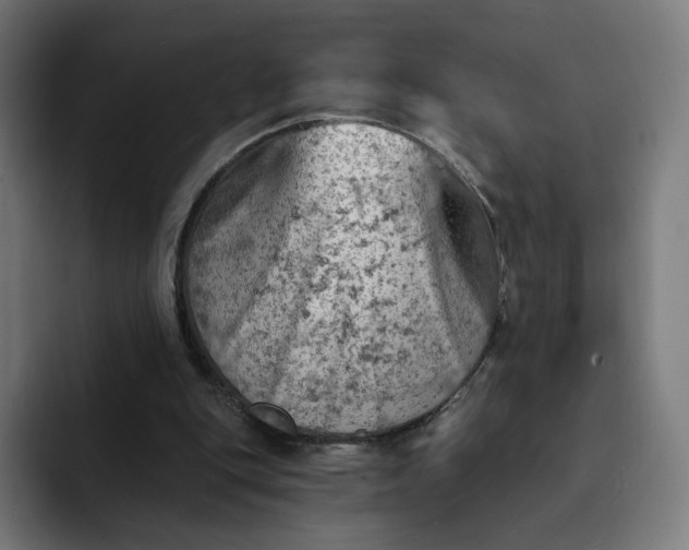 X0000093170151200710101219
