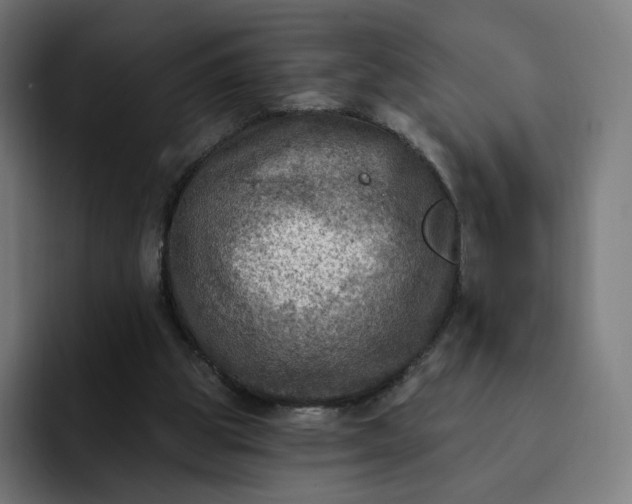 X0000093170153200710101219