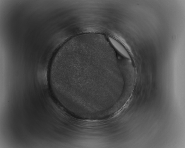 X0000093170154200710101219