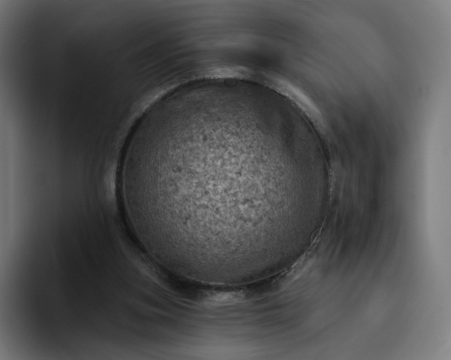 X0000093170155200710101219