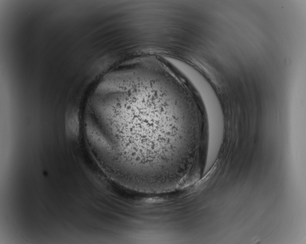 X0000093170158200710101219