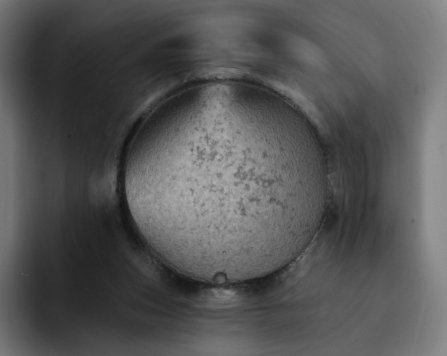 X0000093170159200710101219