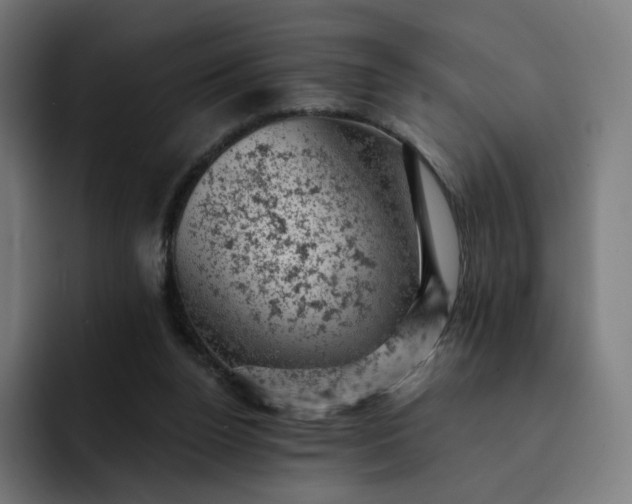 X0000093170160200710101219