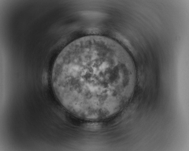 X0000093170161200710101219
