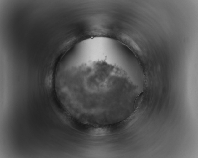 X0000093170163200710101219