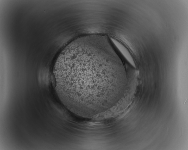 X0000093170164200710101219
