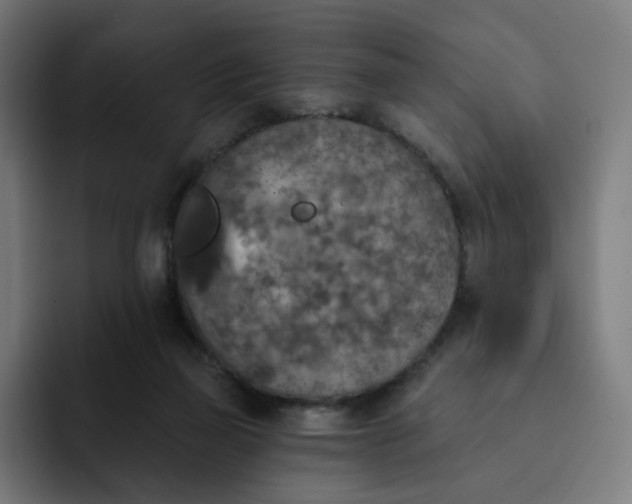X0000093170165200710101219