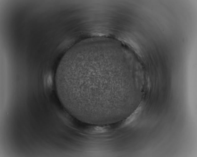 X0000093170166200710101219