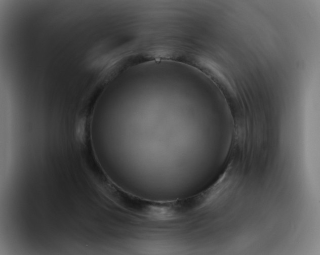 X0000093170167200710101219